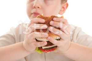 stock-photo-17429674-hamburger